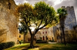 Larresingle-755x500.jpg